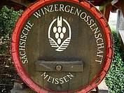 Wein verkosten in Radebeul bei Dresden