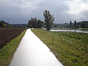 Der Elberadweg zwischen Riesa und Meissen